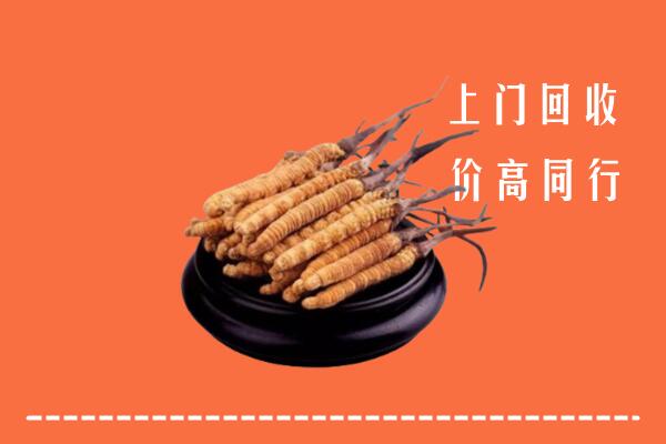 岚县回收冬虫夏草