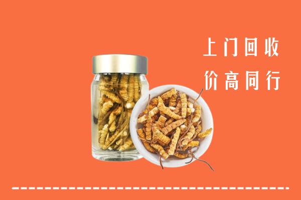 岚县回收冬虫夏草